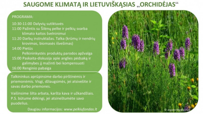 Šilėnų talka.jpg