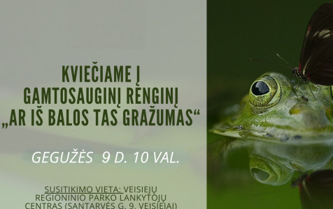 medvarle.jpg