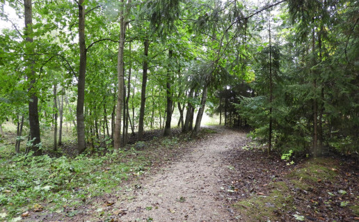 DSCN0499.jpg