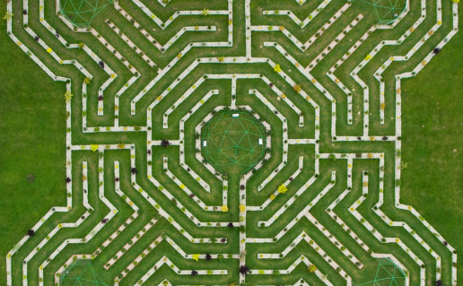 12671834_958249530879286_8464345008819576699_o.jpg