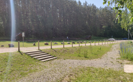 zingiai.jpg