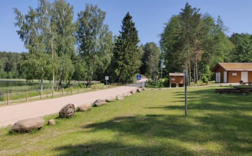 zingiai 1.jpg