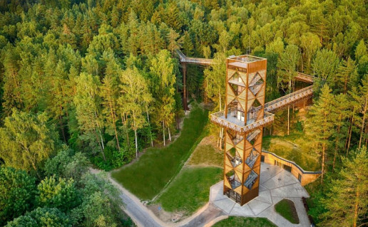 medziu_laju_takas_anyksciu_reg._parke2.jpg