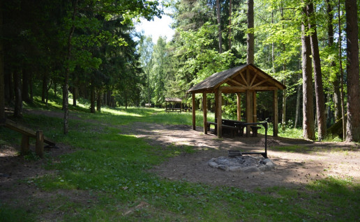 Purviniskiu 155.jpg