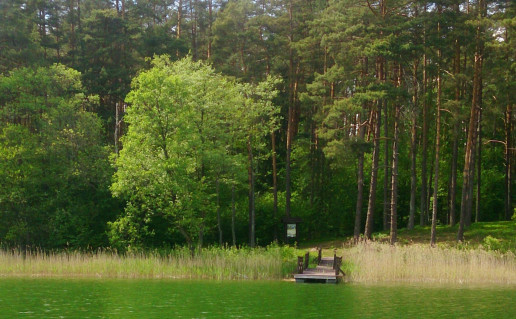 DSC_0060.JPG