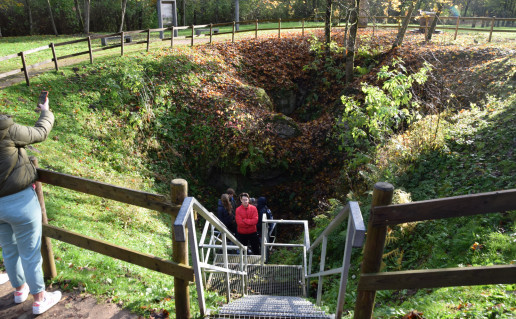 DSC_0017 - Copy.JPG