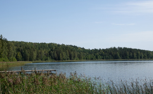DSC00558.JPG