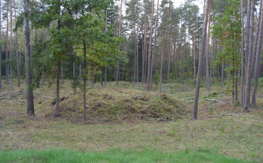 DSC_0088.JPG