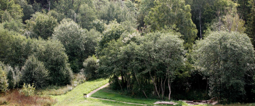 betygalos-piliakalnio-ir-alkos-kalno-aplinka-5d5d0cc8c481e.jpg