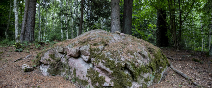 tytuvenu-regioninis-parkas-5d4336bc2a8fb.jpg